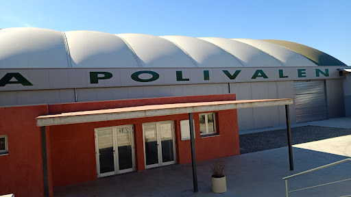 Poliesportiu en Els Pallaresos, Tarragona
