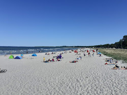 Foto de Playa de Boltenhagen con playa amplia
