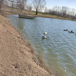 Photo n°2 de l'avis de Carmen.i fait le 14/02/2021 à 15:05 sur le  Parco Laghi Margonara à Gonzaga