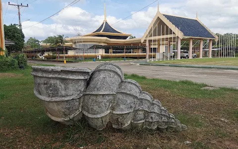 Phuket Seashell Museum image