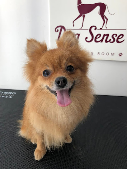 Dog Sense Grooming - Фризьорски салон за кучета
