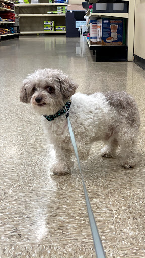 Pet Supply Store «PetSmart», reviews and photos, 901 US-1, North Brunswick Township, NJ 08902, USA