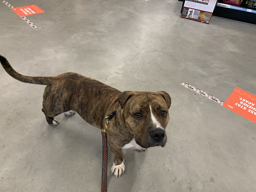 Pet Supply Store «Pet Source», reviews and photos, 620 Constitution Ave, Littleton, MA 01460, USA