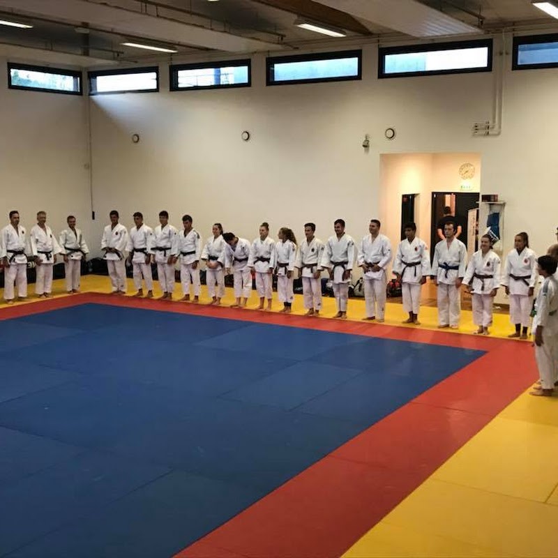 Judo Club Ludres