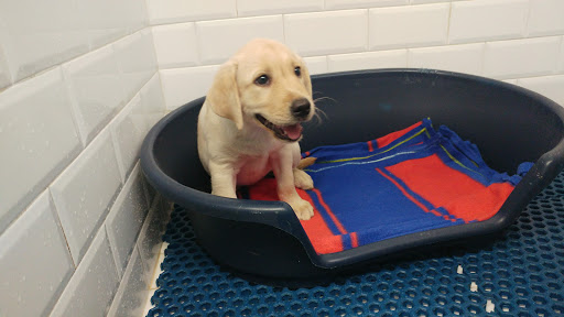 Hospital Veterinario Les Alfàbegues en Bétera