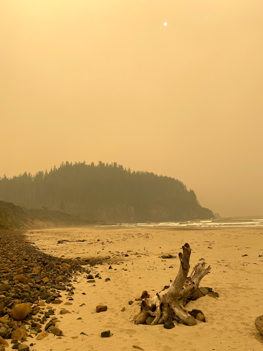 Roofing Contractor «A Good Roof», reviews and photos, 5815 Sea View Ave, Tillamook, OR 97141, USA