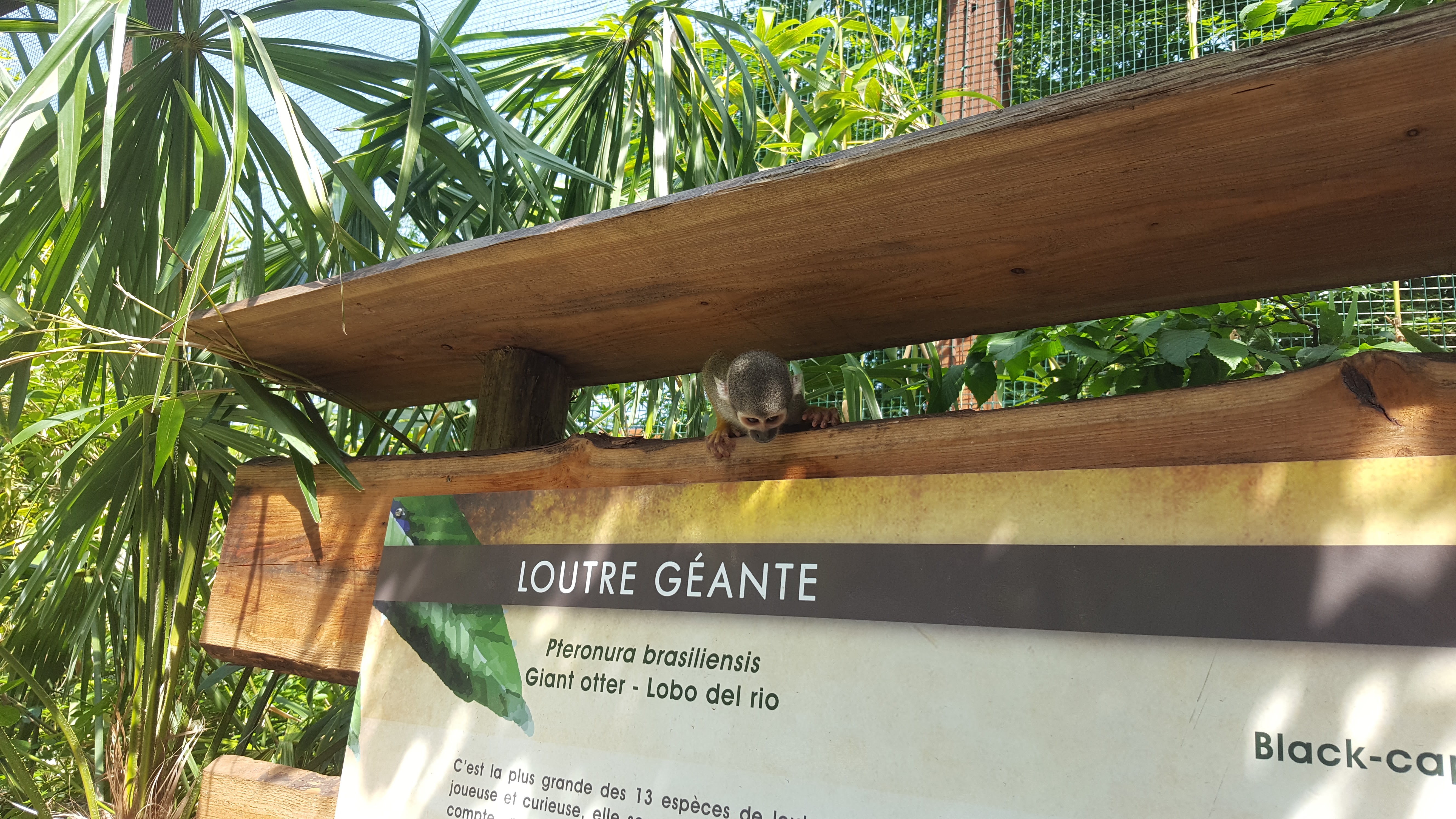 Photo n° 4 de l'avis de Sandra.o fait le 15/06/2017 à 07:55