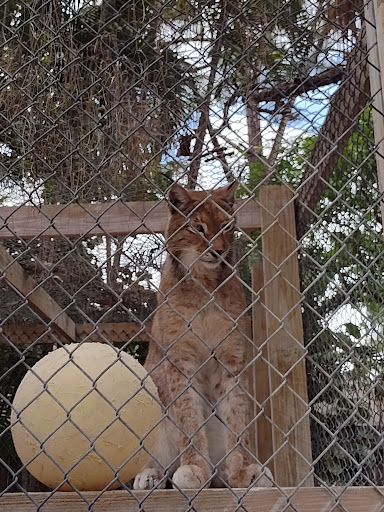 Animal Rescue Service «McCarthys Wildlife Sanctuary», reviews and photos, 12943 61st St N, West Palm Beach, FL 33412, USA