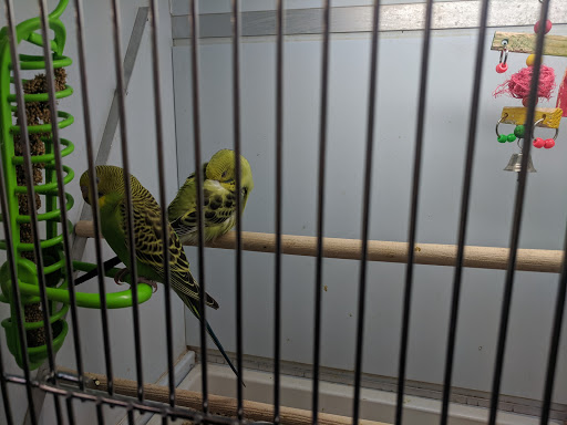 Pet Supply Store «Pet Supplies Plus», reviews and photos, 1240 Seminole Trail, Charlottesville, VA 22901, USA