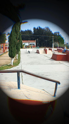 Skate park La curva