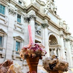 Photo n°1 de l'avis de Grecia.i fait le 25/02/2020 à 18:13 sur le  Melograno - Gelato, Pizza e Caffè a Fontana di Trevi à Rome