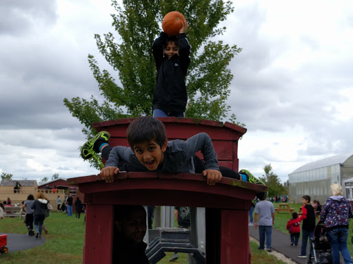 Farm «Kellers Farmstand», reviews and photos, 2500 Johnson Rd, Oswego, IL 60543, USA