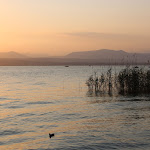 Photo n°24 de l'avis de Giorgia.e fait le 30/06/2019 à 06:59 sur le  Villa Pioppi Restaurant & Pizzeria à Sirmione