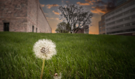 Art Museum «Joslyn Art Museum», reviews and photos, 2200 Dodge St, Omaha, NE 68102, USA