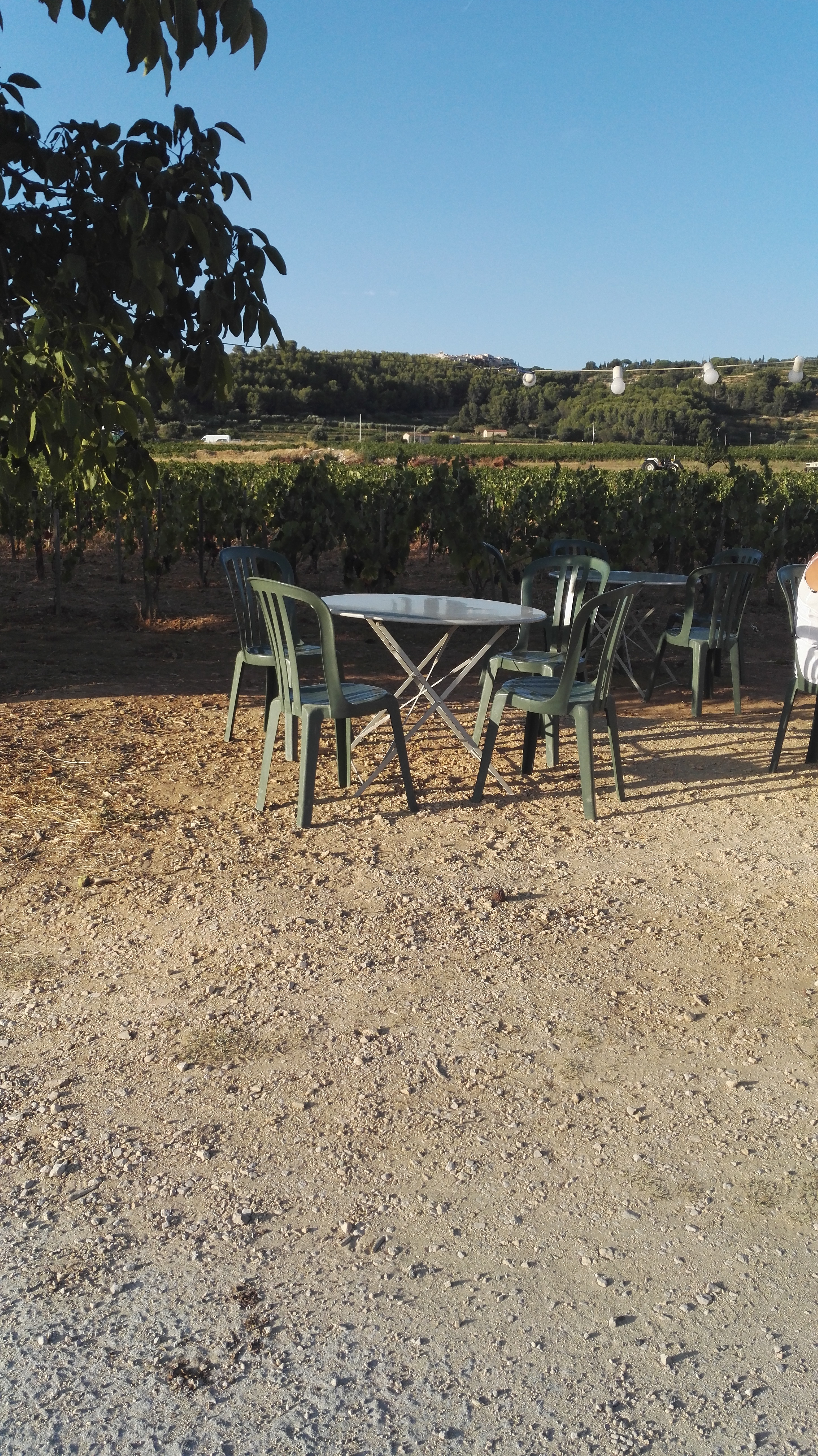 Photo n° 3 de l'avis de S.MILLOT. fait le 19/08/2017 à 17:44