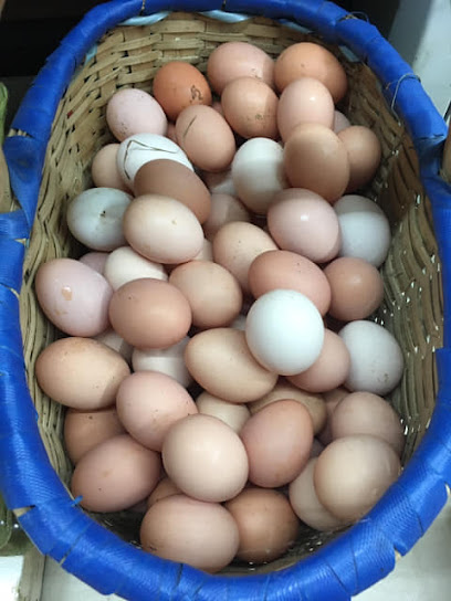 Efulim Yumurta - Köy Yumurtası
