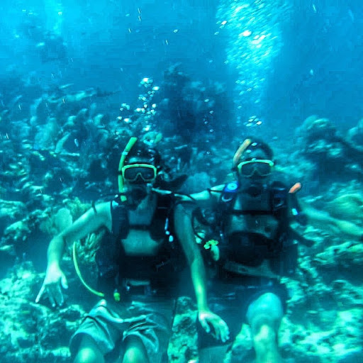 Travel Agency «A1 Travel», reviews and photos, 3601 Minnesota Dr #190, Minneapolis, MN 55435, USA