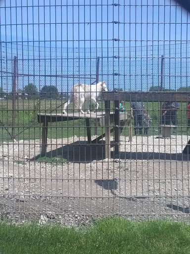 Wildlife Refuge «Big Run Wolf Ranch», reviews and photos, 14857 N Farrell Rd, Lockport, IL 60441, USA
