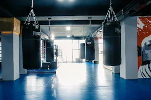 Rocky Boxing Club image