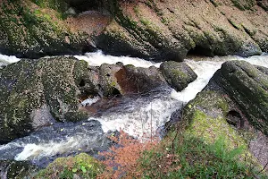 Cargill's Leap image