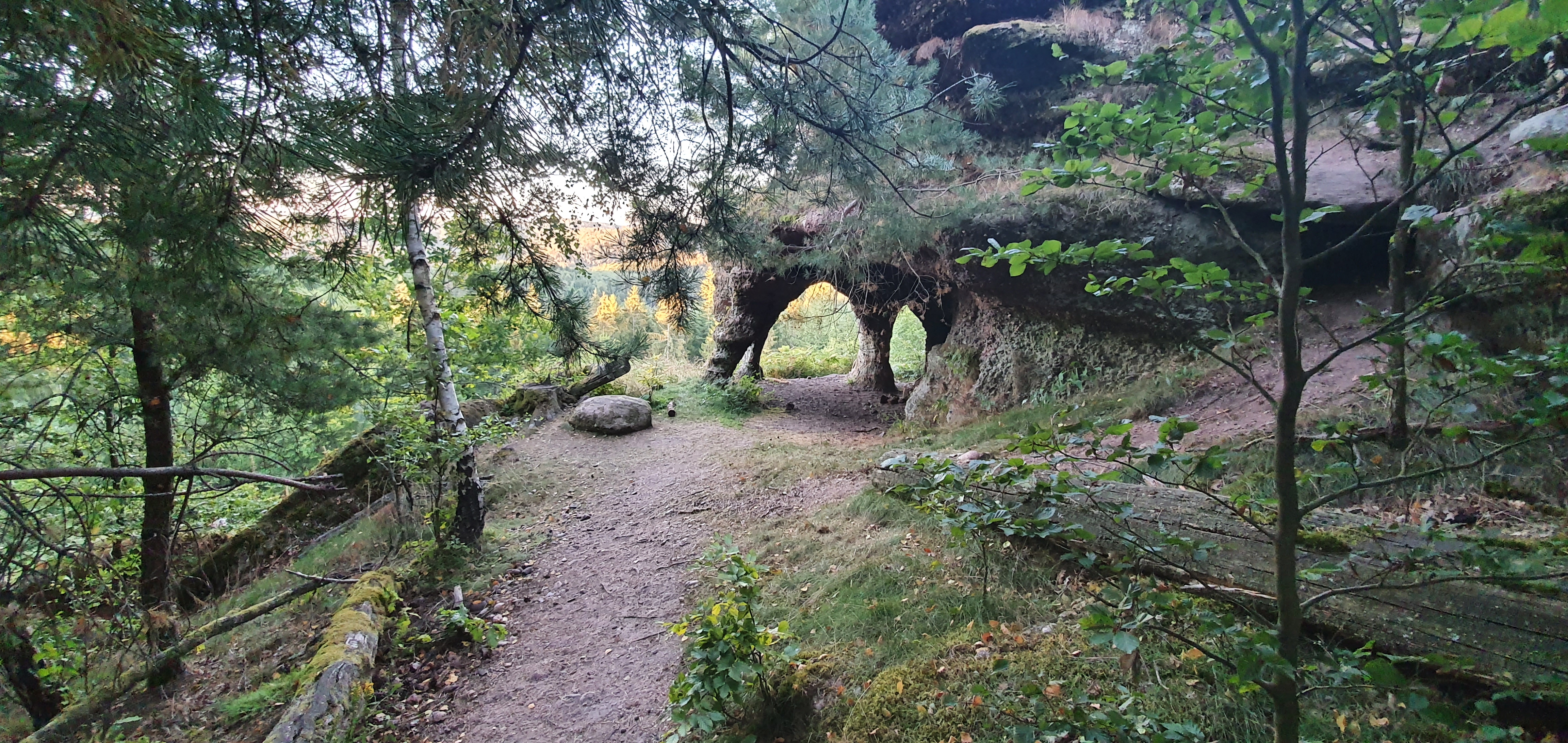 Photo n° 2 de l'avis de Jan.o fait le 30/07/2020 à 20:03