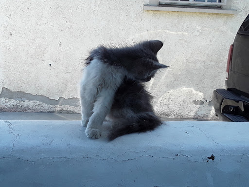 1749 Magnolia Ave, Long Beach, CA 90813, USA