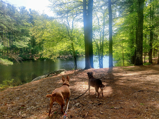 Campground «Lorraine Park Campground», reviews and photos, 133 Jenkins Rd, Andover, MA 01810, USA