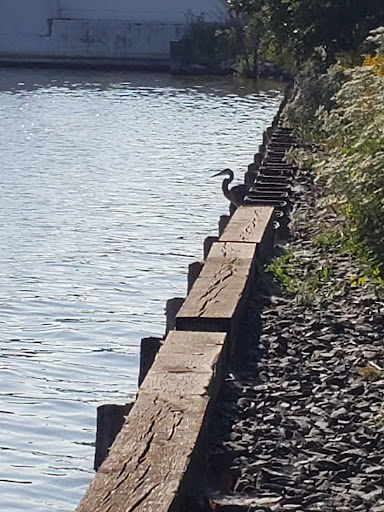 History Museum «Harley-Davidson Museum®», reviews and photos, 400 W Canal St, Milwaukee, WI 53201, USA