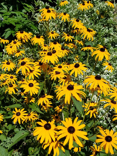 Zoo «Queens Zoo», reviews and photos, 53-51 111th St, Corona, NY 11368, USA