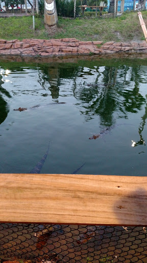 Miniature Golf Course «Golf N Gator», reviews and photos, 6355 N Atlantic Ave, Cape Canaveral, FL 32920, USA