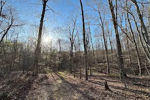 Knobs State Forest and WMA image