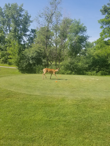 Golf Course «Washington Learning Center Golf Course», reviews and photos, 3841 Washington Park Blvd, Cleveland, OH 44105, USA