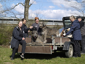 Dch Vamdrup, Vamdrup Civile Hundeførerforeing