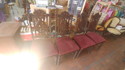 Non-Profit Organization «Youth Alternatives Thrift Shop», reviews and photos, 3103 West Ave, San Antonio, TX 78213, USA