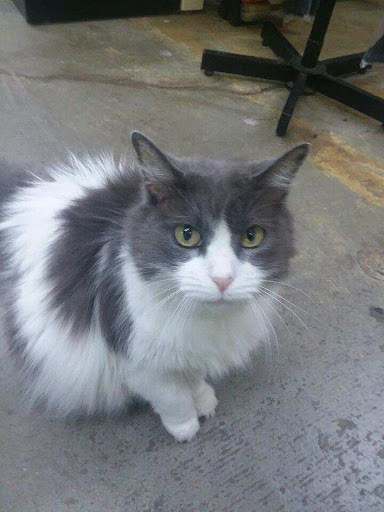 Hiawassee Feed & Pro Hardware