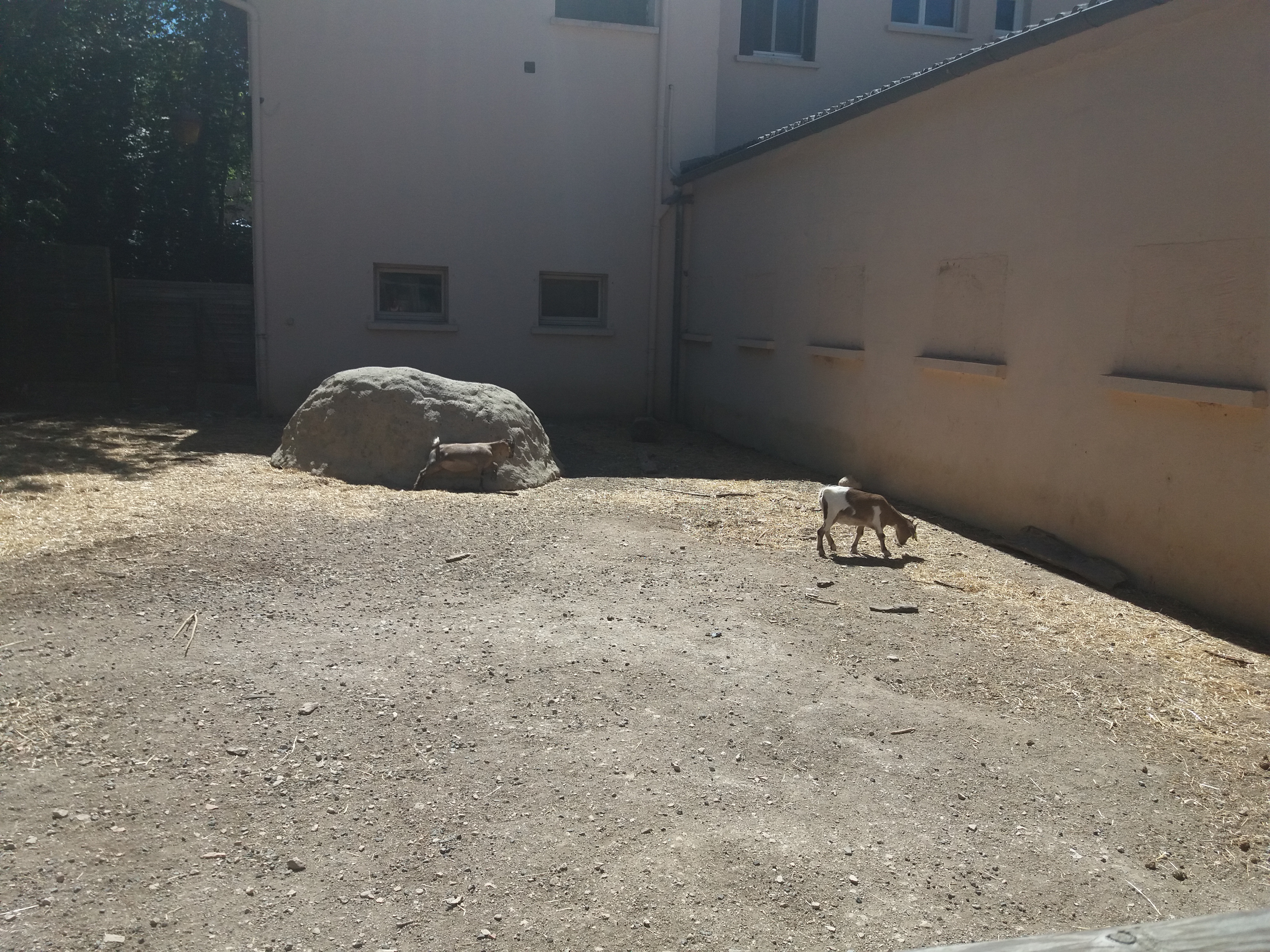 Photo n° 27 de l'avis de Damien.i fait le 21/08/2017 à 19:35