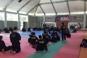 Taekwondo Centre image