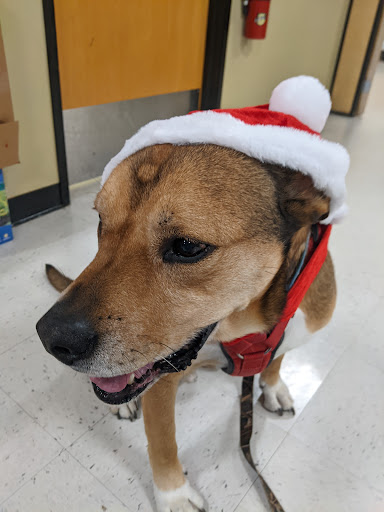 Pet Supply Store «PetSmart», reviews and photos, 150 Bleachery Blvd, Asheville, NC 28805, USA