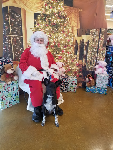 Pet Supply Store «PetSmart», reviews and photos, 320 W Town Square Way, Oak Creek, WI 53154, USA