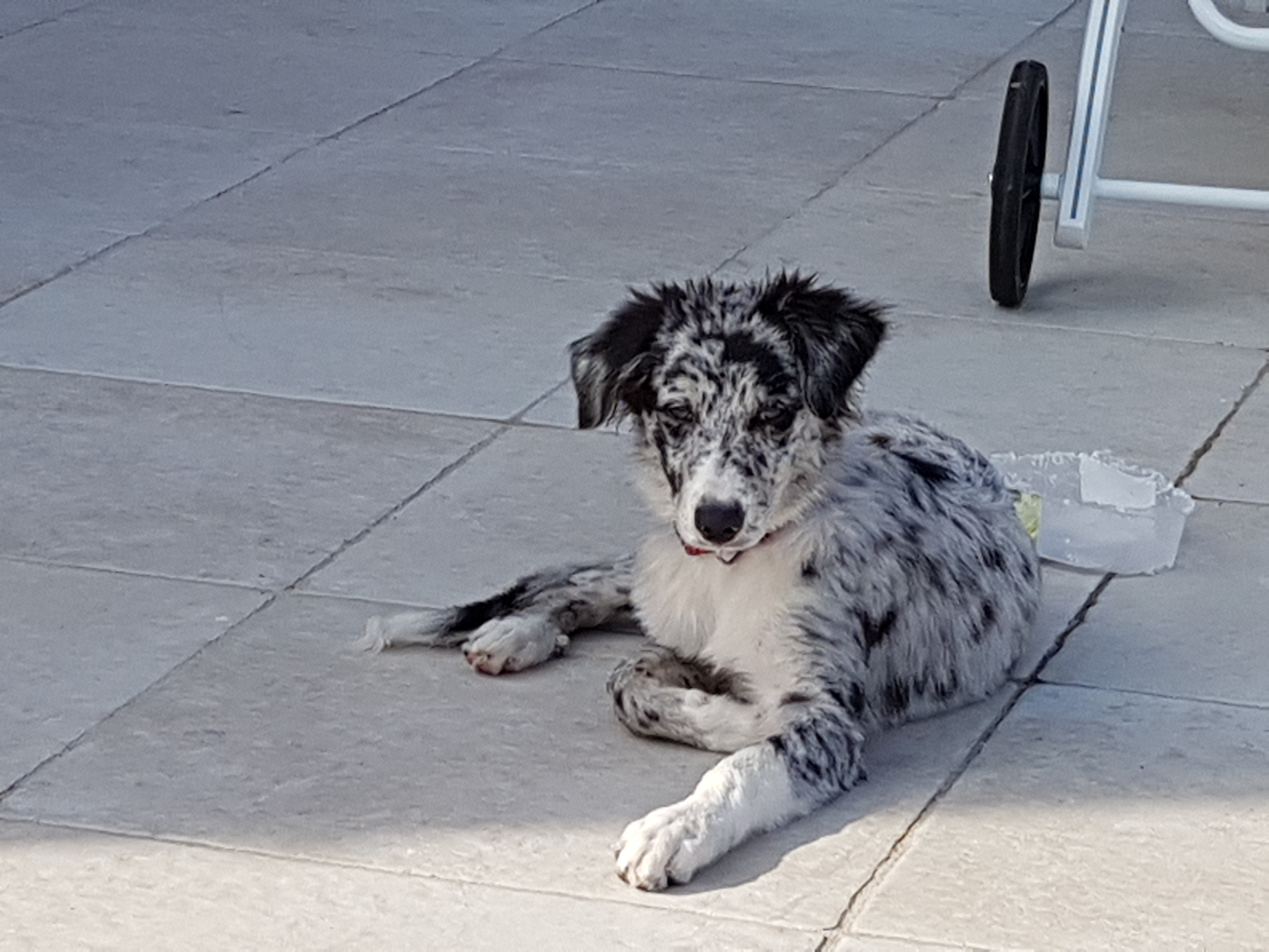 Photo n° 2 de l'avis de Ugo.e fait le 18/10/2018 à 09:15