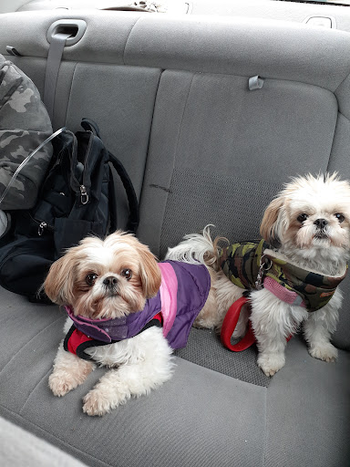 Casino «One Casino Square Shopping Center», reviews and photos, 393 Mile Rd, Wells, ME 04090, USA