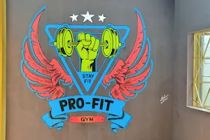 Pro-Fit Gym image