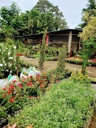 Vivero El Bambu - Centro de jardinería
