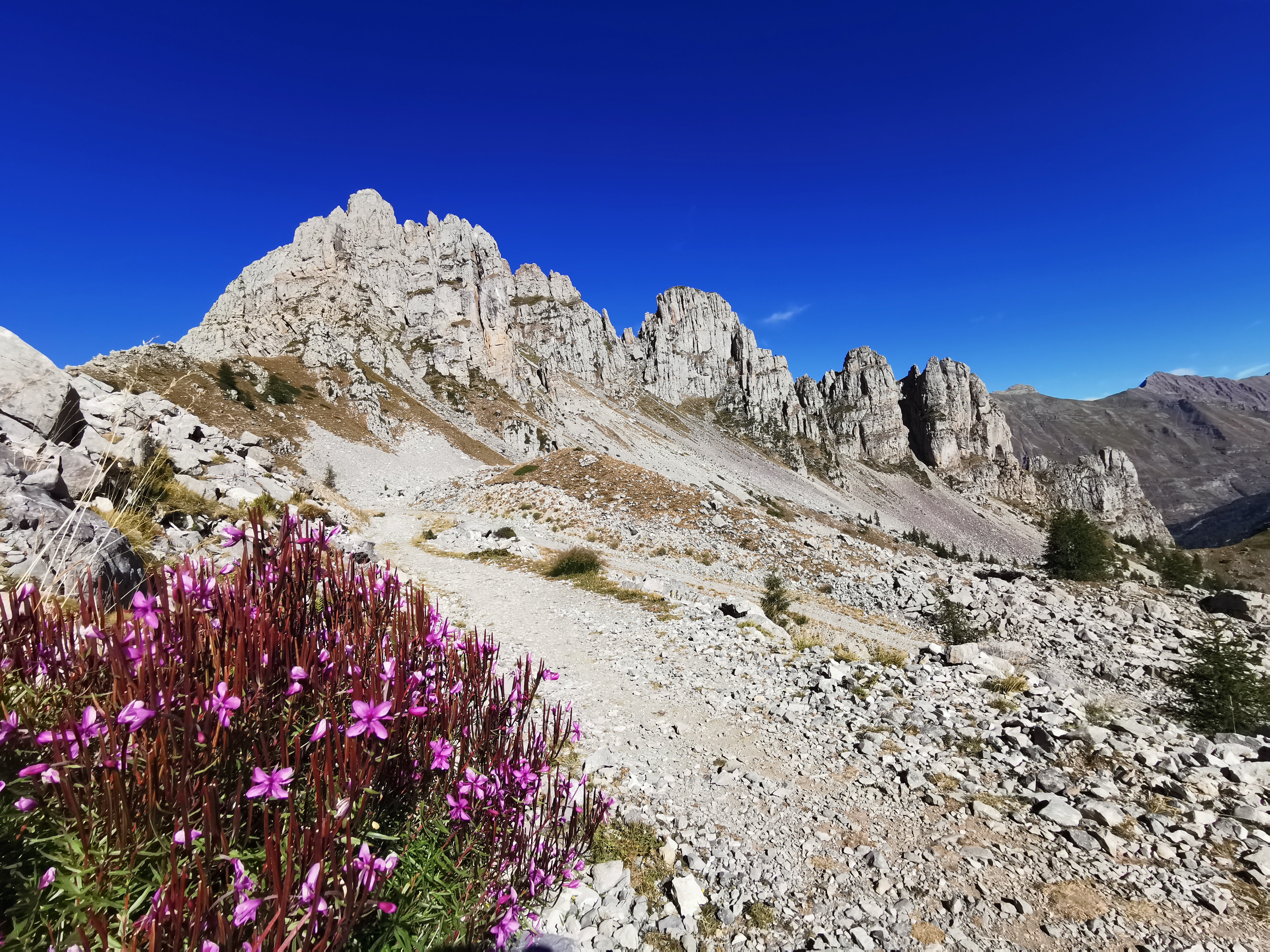 Photo n° 5 de l'avis de Mathieu.o fait le 31/08/2020 à 15:37