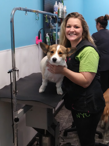 Pet Groomer «Belly scRubs Self Service Pet Wash», reviews and photos, 119 WV-34 #1, Hurricane, WV 25526, USA
