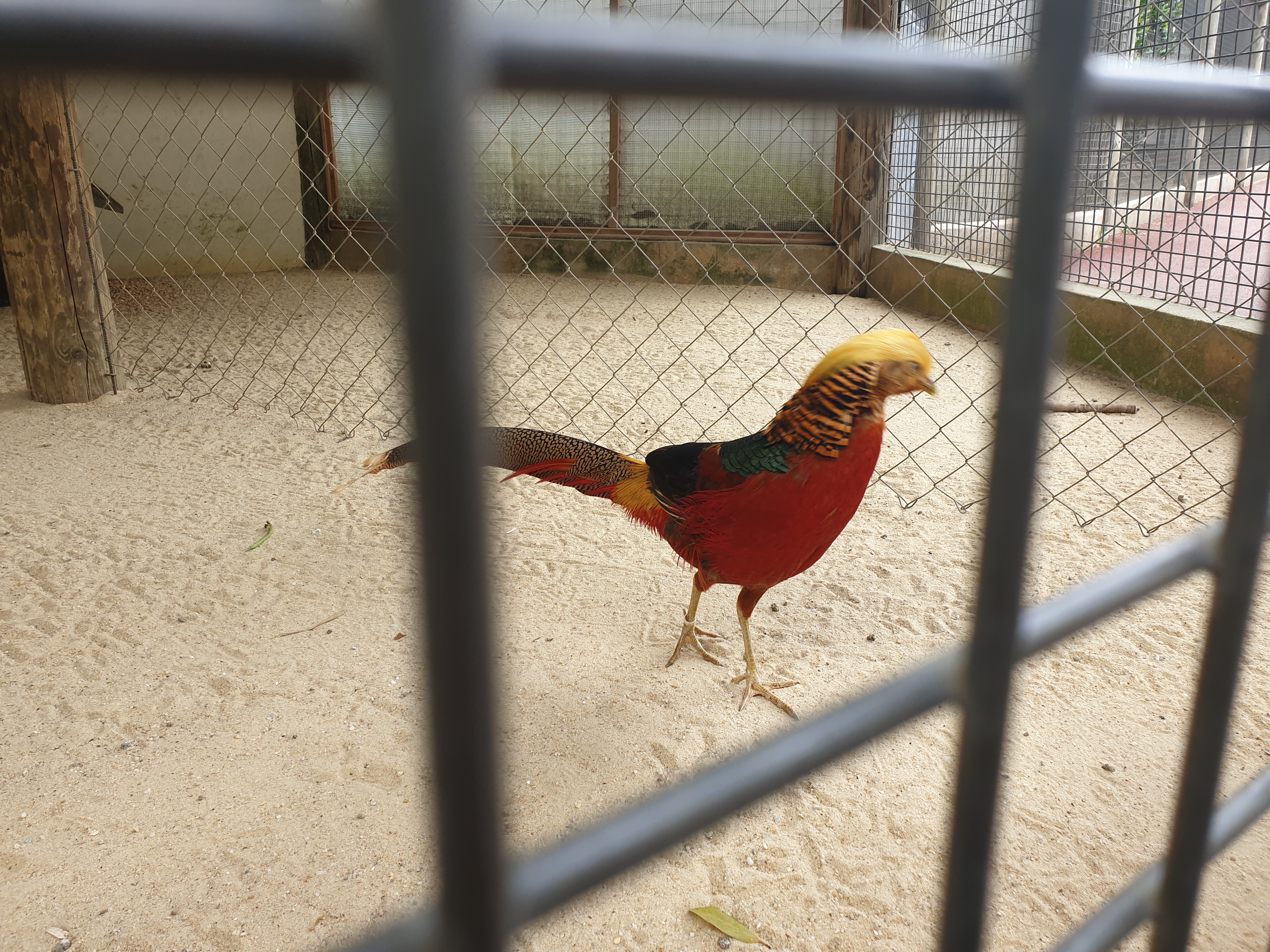 Photo n° 8 de l'avis de Arlindo.o fait le 30/04/2019 à 07:43
