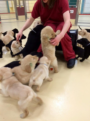 Auto Repair Shop «M & M Auto & Cycle Llc», reviews and photos, 268 Clove Rd, Montague Township, NJ 07827, USA