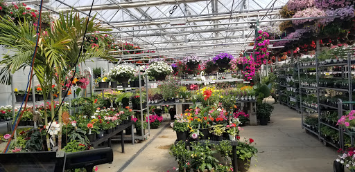 Telly's Greenhouse and Garden Center