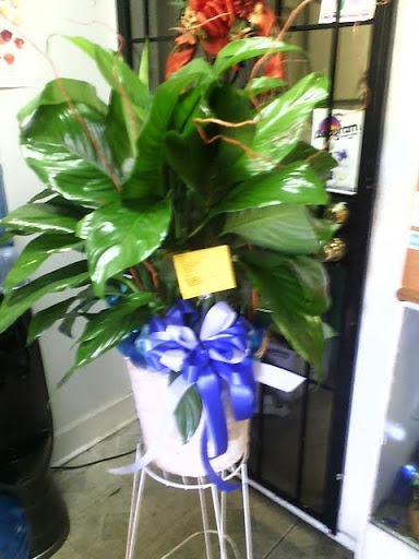 Florist «Flowers by Monica», reviews and photos, 9210 Homestead Rd a, Houston, TX 77016, USA