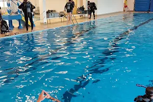 Medusa Diving image